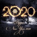 Bipper - New Year 2020