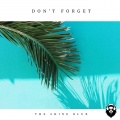 The Shine Blur - Don't Forget (CS Sanders Remix)