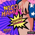 Nico Hamuy - Groovers Feelings (Original Mix)