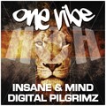 Digital Pilgrimz、Insane、Mind - One Vibe (Original Mix)