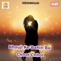 bansidhar chaudhary - Raja KO Paja Me Sutayenge