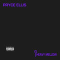 Miggs、PRYCE ELLIS、Steve Spiffler、Spacerawk、V Jewel - Wait (Explicit)