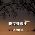 诗梦康康 - 昨夜梦魂中