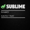 Rawkey - Xactly that (Original Mix)
