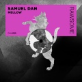 Samuel Dan - The Way It Is (OriginalMix)