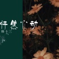 韩十三 - 怦然心动