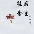 朱习爱 - 往后余生 (轻音乐版)