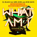 Leee John、Rob Davis、DJ Jelani - What Am I Gonna Do?