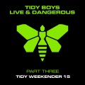 The Tidy Boys - Tidy Weekender 15 Intro - Mixed