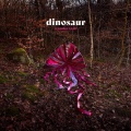 Dinosaur - And Still We Wonder