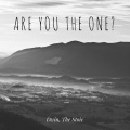 Are You the One?