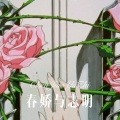 3姊、虞姬 - 私房歌