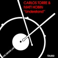 Carlos Torre、Matt Hobin - Understand
