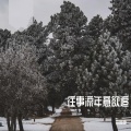 李柯楠 - 往事流年意欲追 (Demo)