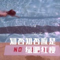 知否知否应是绿肥红瘦