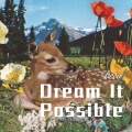 Dream It Possible (Remix)