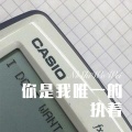 你是我唯一的执着
