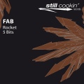 Fab - 5 Bits