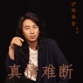沙玛歌金 - 真情难断
