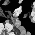 小伊伊、嫉命 - 每一段经历都值得珍惜