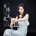 倪尔萍 - 雪停了再走