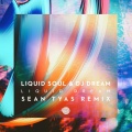 Liquid Soul、DJ Dream - Liquid Dream (SeanTyasRemix)