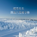 Y拉冠 - 四海八荒难寻你