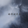 澈子 - 遍体鳞伤 (DJ版)