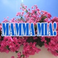 The Background Orchestra - Mamma mia