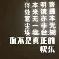 你不是真正的快乐