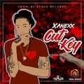 Xanexx - Cut Key