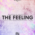 The Feeling (ElementicSoul's Signature)