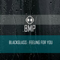 Blackglass - Feeling For You