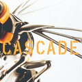 Cascade、白井良明 - ヨルノマボロシ