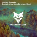 Hushrov Bhesania、Blame Adam - Serenity