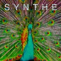 Synthe、Sonic Riviera - Something Special