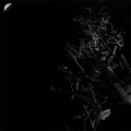 Christian Löffler - Heights