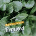 Salade Tomate、Steff Corner - Peace (SteffCornerMix)