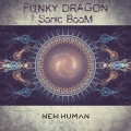 Funky Dragon - Sonic Boom (Original Mix)