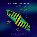 Cristhian Hernandez - CAMINANTE (Original Mix)