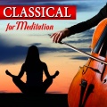 Republic of Florence Philharmonic Orchestra - Finale