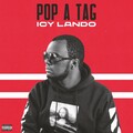 Icy Lando - Pop a Tag (Explicit)
