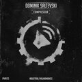 Dominik Saltevski - Rave Im Nebel (OriginalMix)