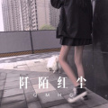 阡陌红尘