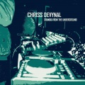 Chriss DeVynal - The Piano
