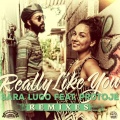 Sara Lugo、Protoje、Will Magid、Paul Bertin - Really Like You