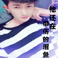 鱼先声 - 他还在