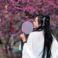 胡梅 - 唐婉