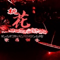 沈孝 - 桃花染指留香