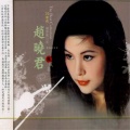 赵晓君 - 又像细雨又像风